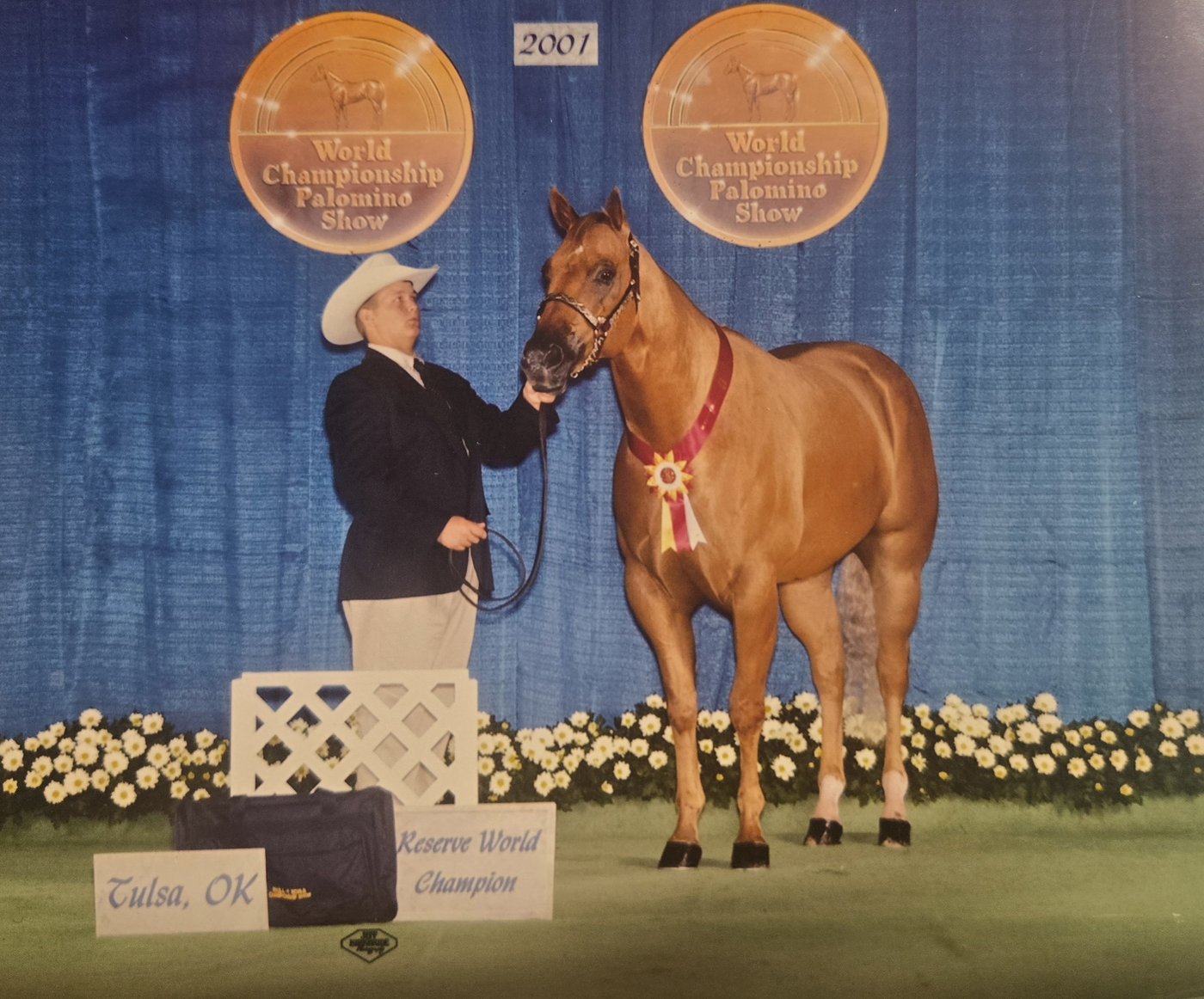 Michael Hahn with Ticon — 2001 Reserve World Champion, Tulsa OK — under the World Championship Palomino Show medallions