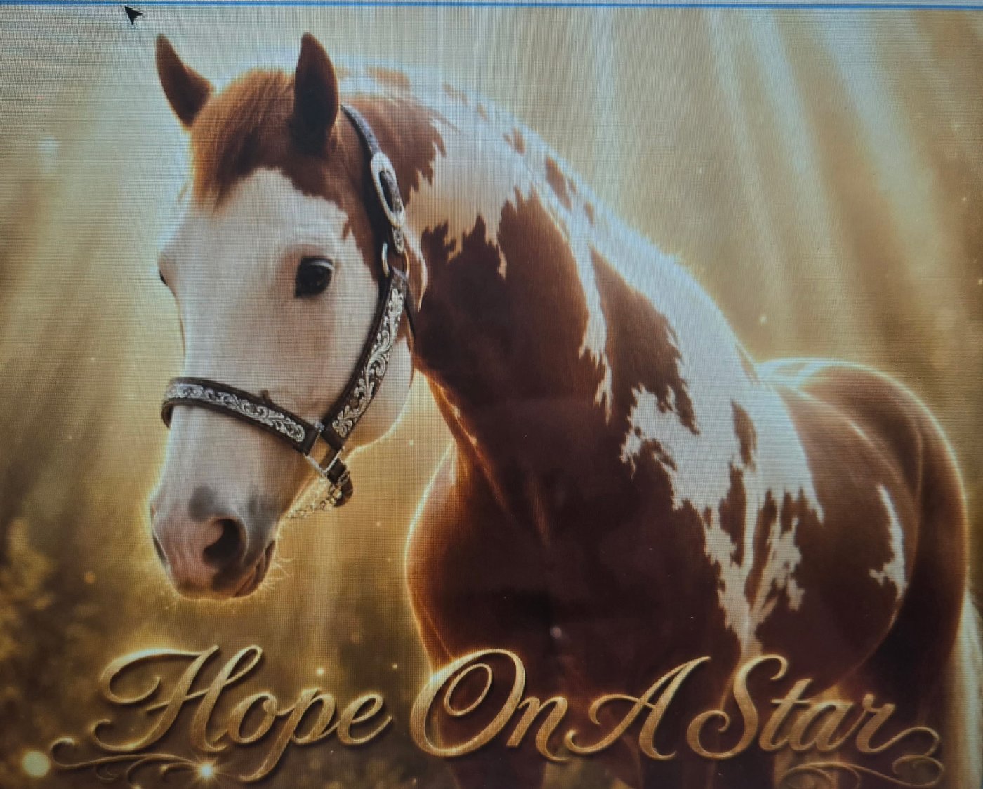 Hope On A Star — memorial portrait