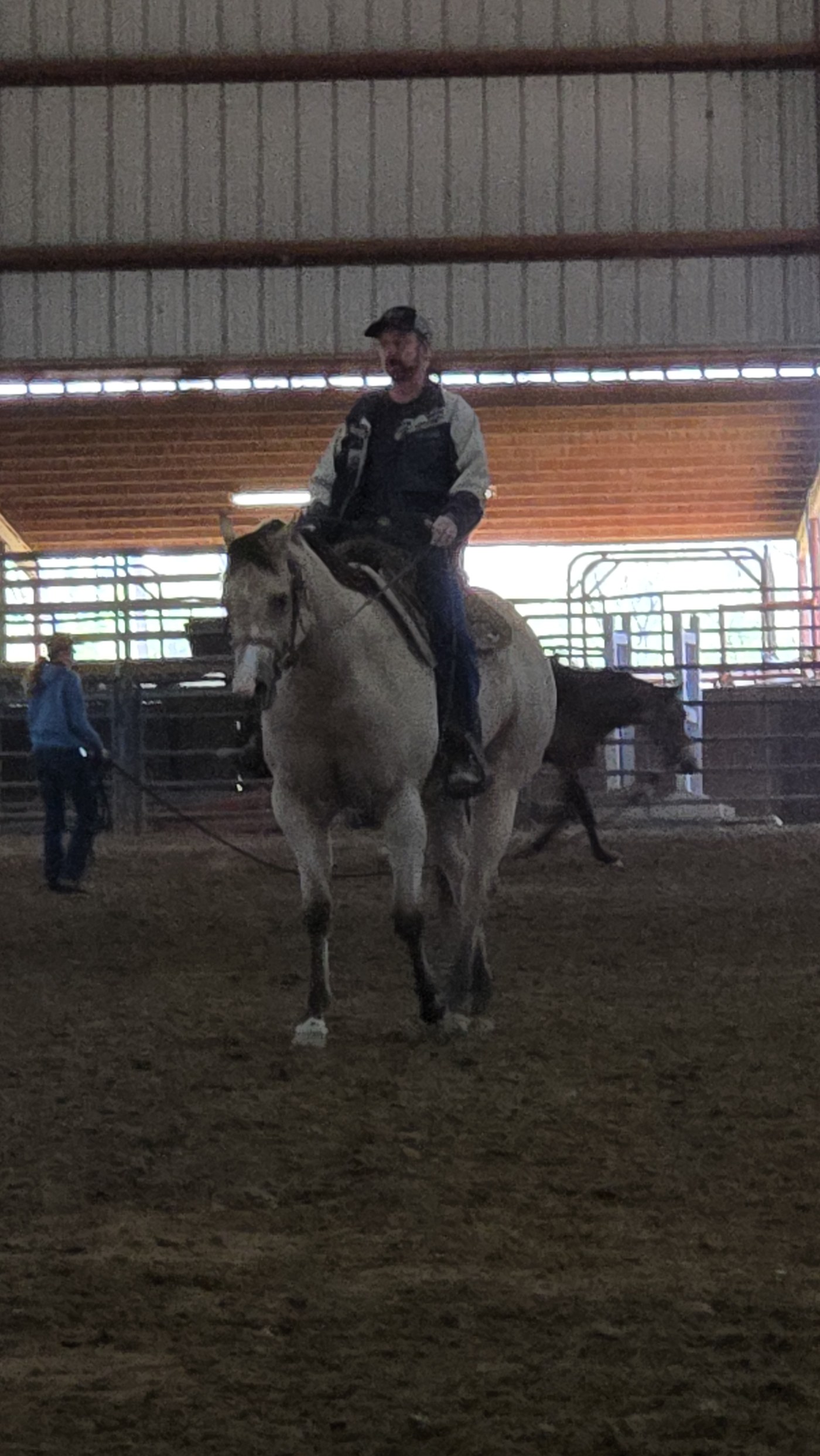 Ally being ridden in disciplined training